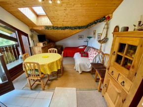 Duplex simple avec parking à La Clusaz - FR-1-459-33